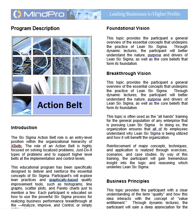 Action Belt Program